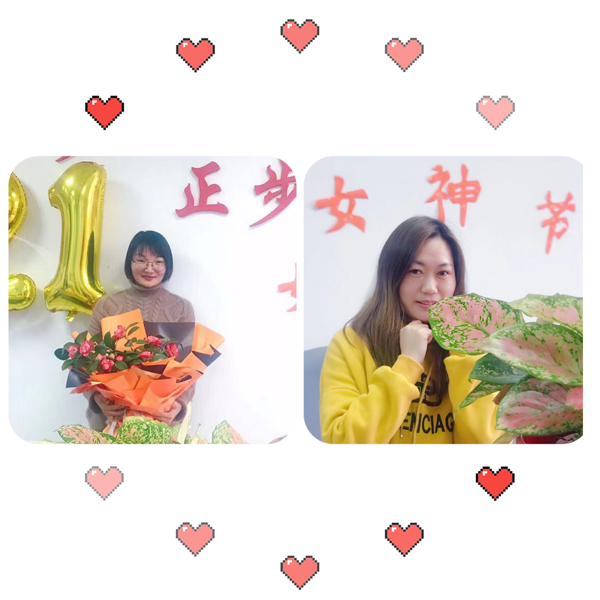 俄罗斯专享会294平台